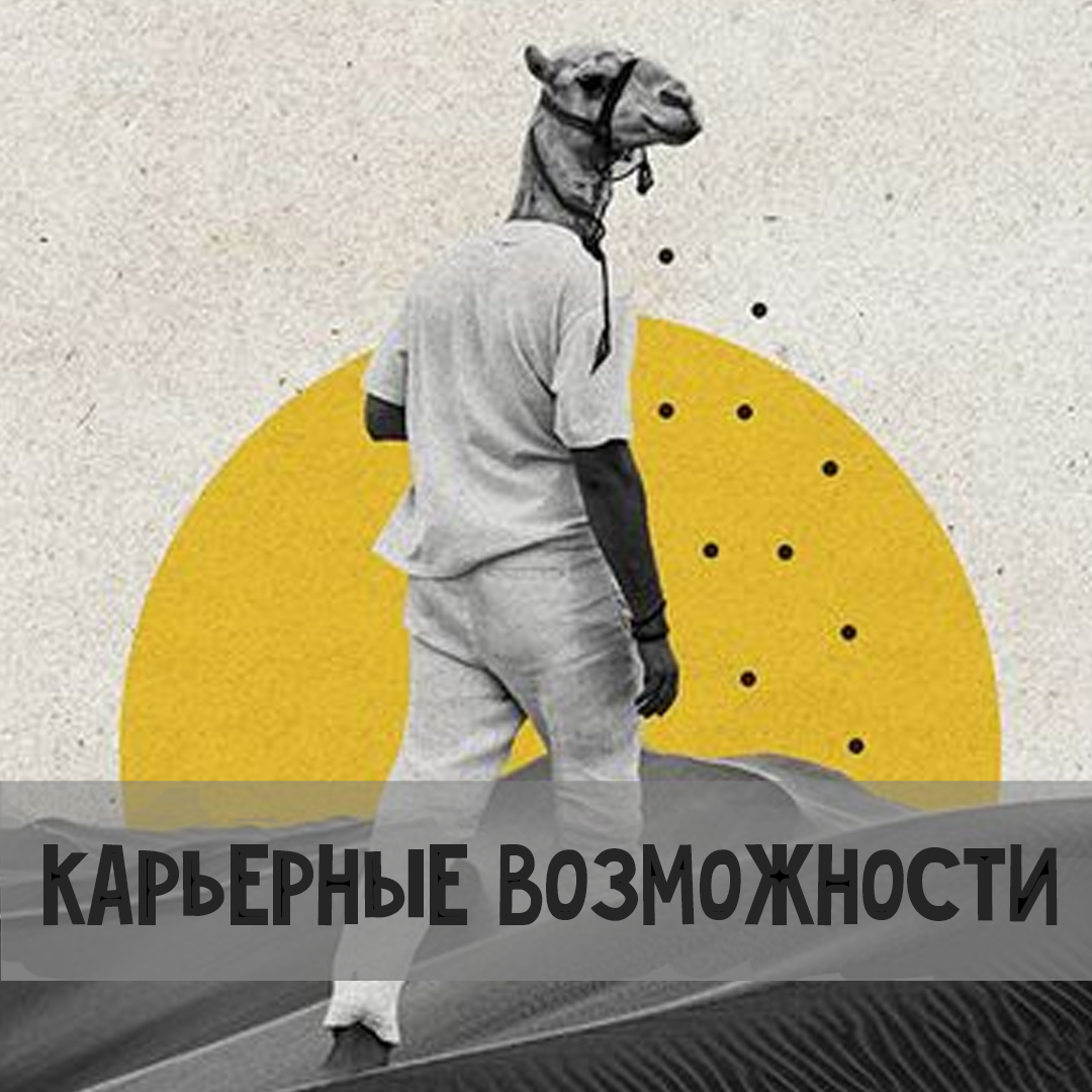 Астрология: карьерные возможности | Астрология для Астрологов | Дзен