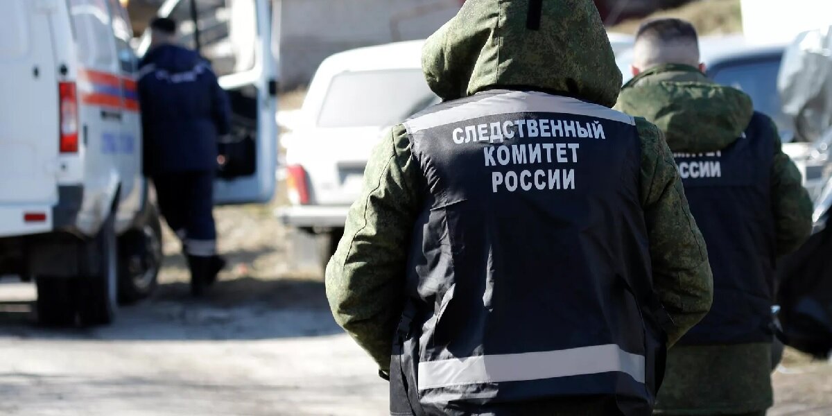 Фото: РИА «Новости» (https://cdnn1.img.crimea.ria.ru/img/07e6/04/07/1122879500_0:239:2783:1804_1920x0_80_0_0_a865ccebe5572013312517ad2c097e08.jpg.webp)