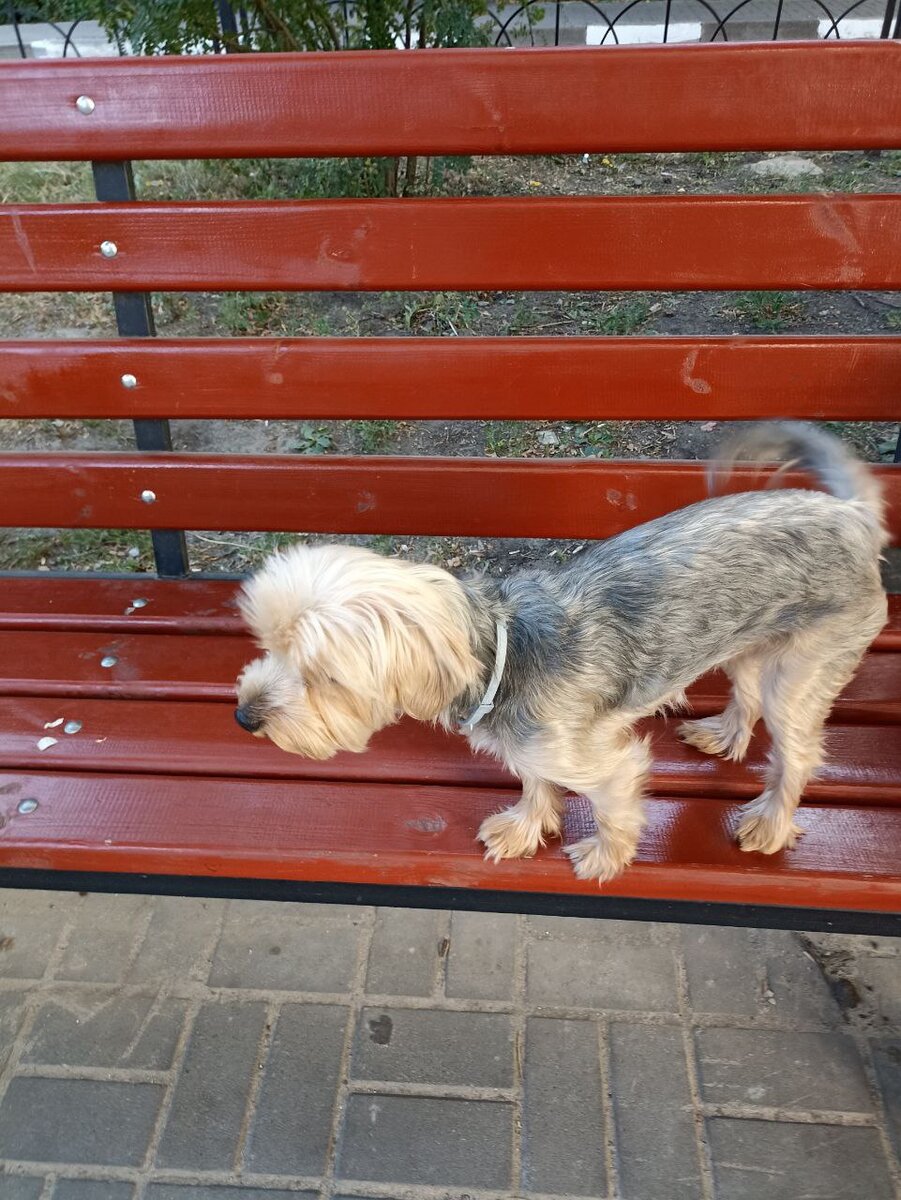 снимок автора канала