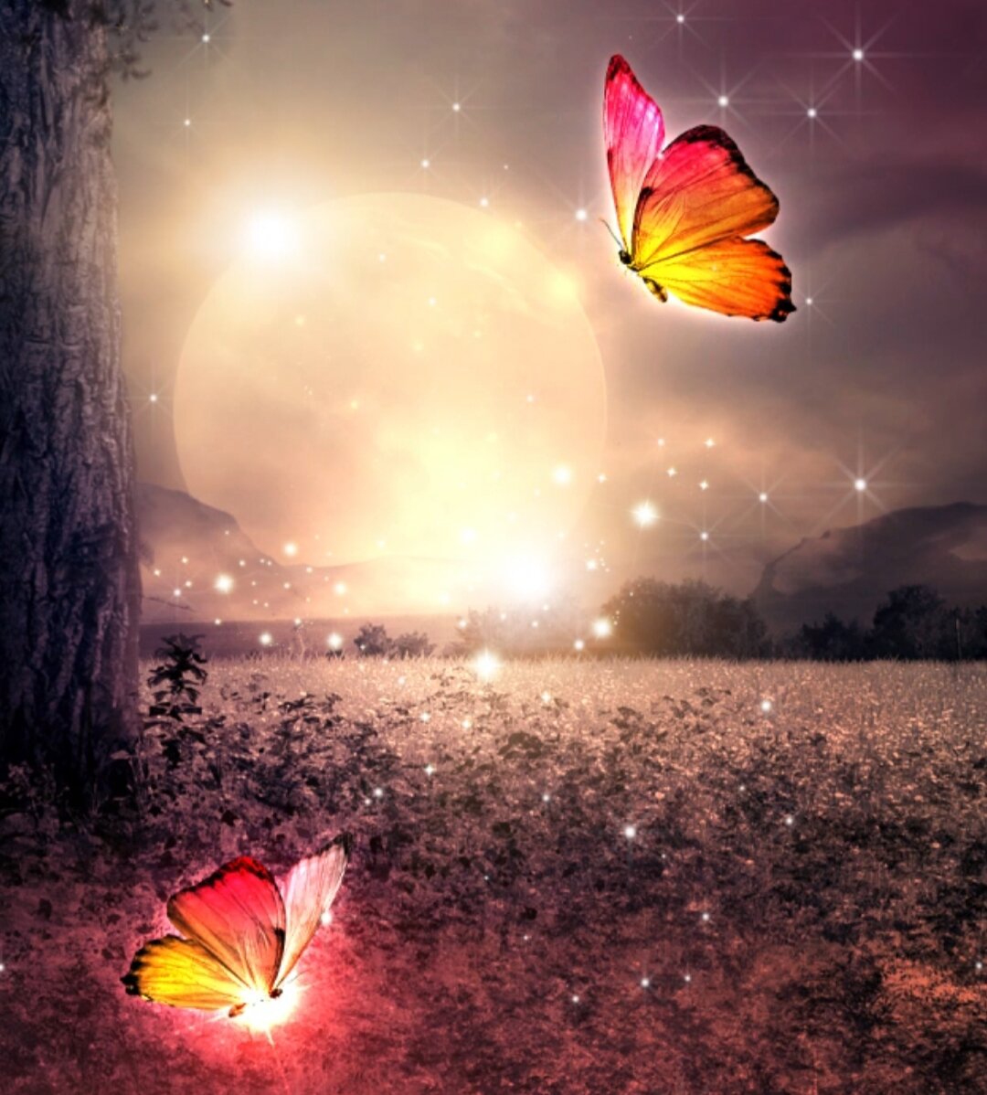 Фото из интернета.