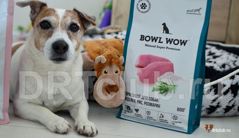 Bowl wow для щенков. Bowl wow для собак. Bowl wow корма для кошек. Корм Боул воу для кошек. Реклама корма Bowl wow.