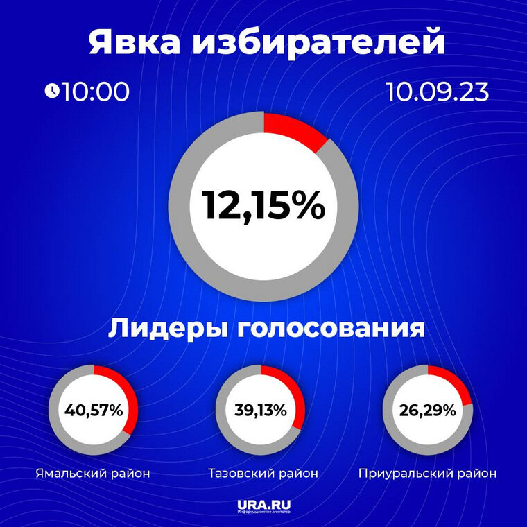    Явка избирателей по данным на 10:00