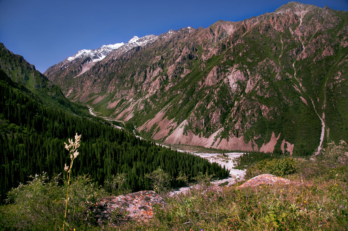 Киргизия ущелье Аларча