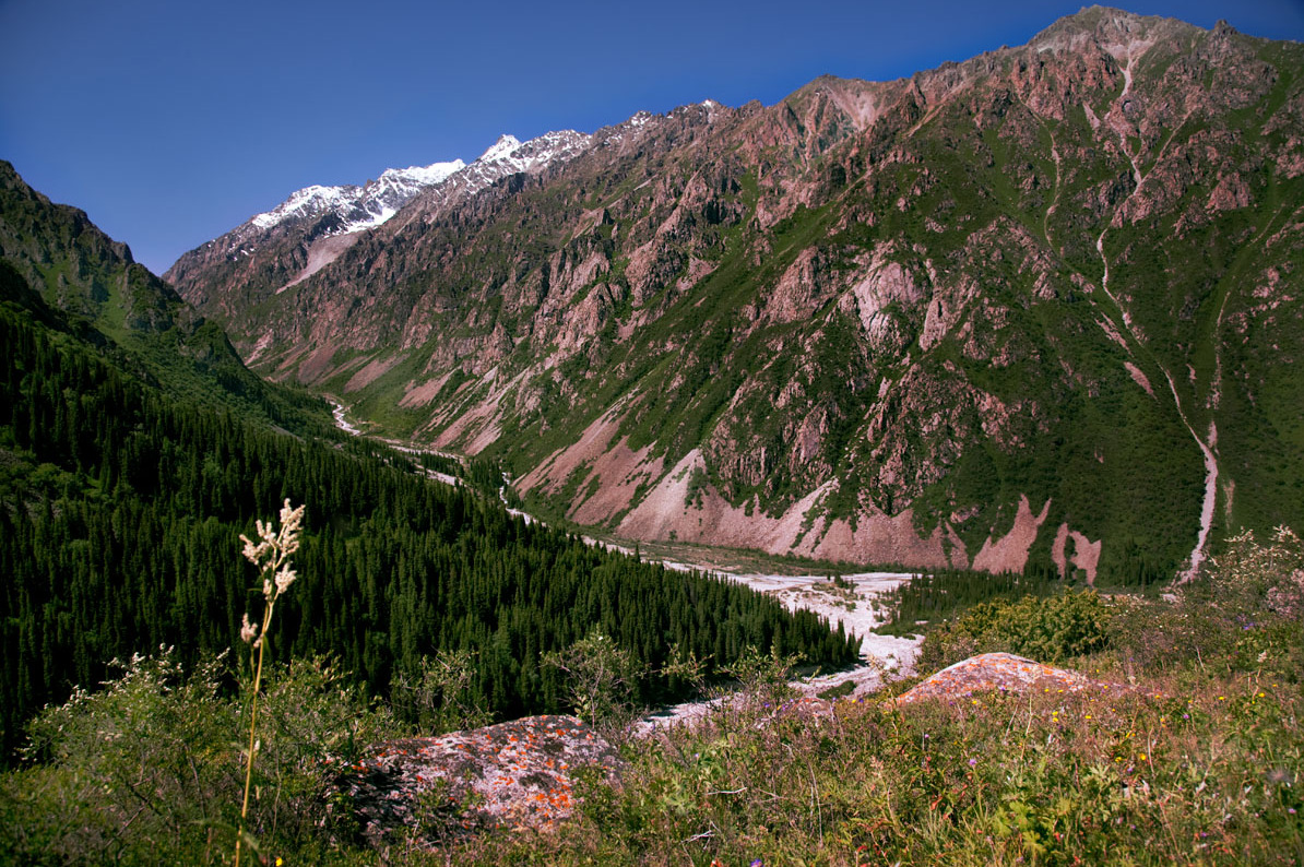 Хребет Алайкуу