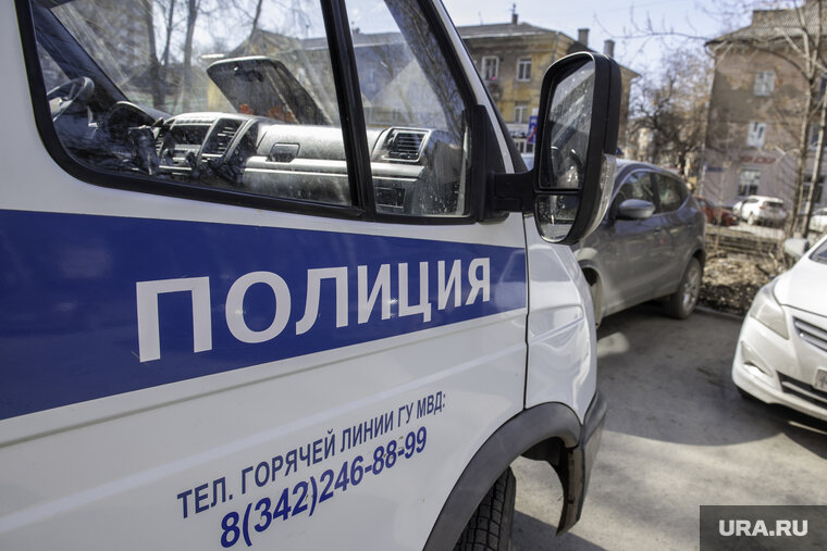    Подозреваемая похитила 50 тысяч рублей