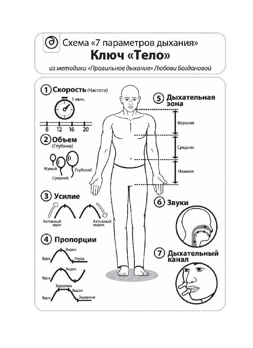 Рис. 1. Схема "7 параметров дыхания", Ключ "Тело".