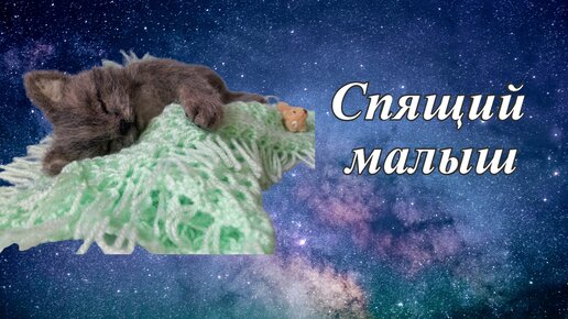 Спящий малыш. Валяный котёнок сухое валяние игрушек