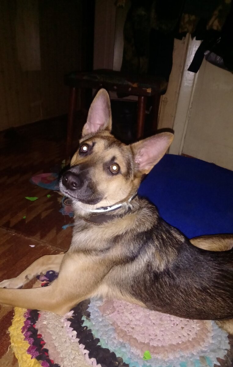 Сейчас Вы меня видите