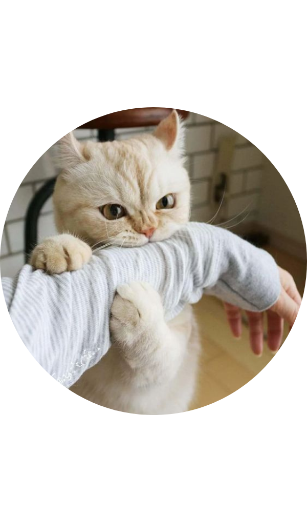 кусь обыкновенный