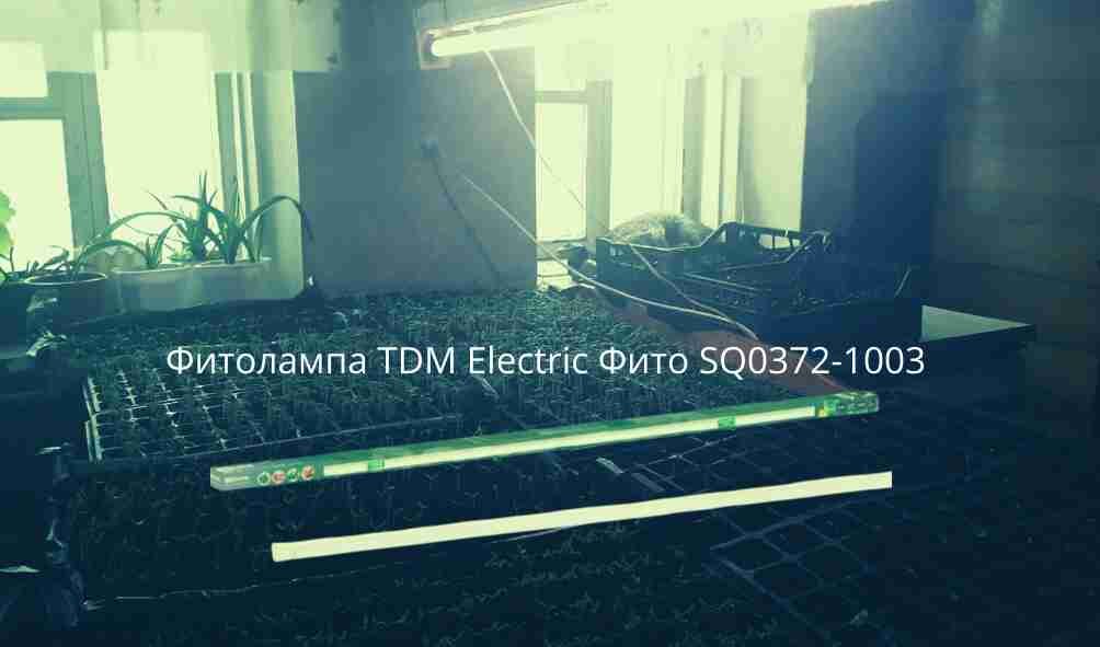 Досвечивание рассады фитолампой мощностью 18 ВТ