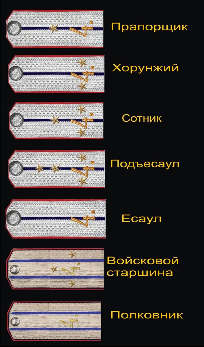 Погоны вахмистра казачьих войск фото