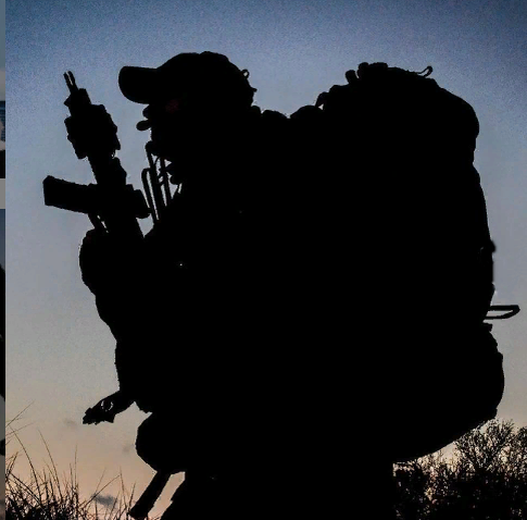 https://www.instagram.com/nato/