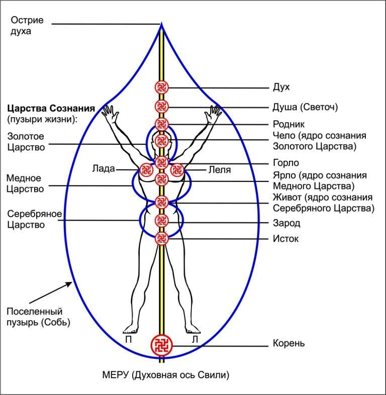 Система духа. Чакральная система славян. Славянские энергетические центры чакры. Чакры энергетические центры тонких тел. Энергетические центры человека в славянской культуре.