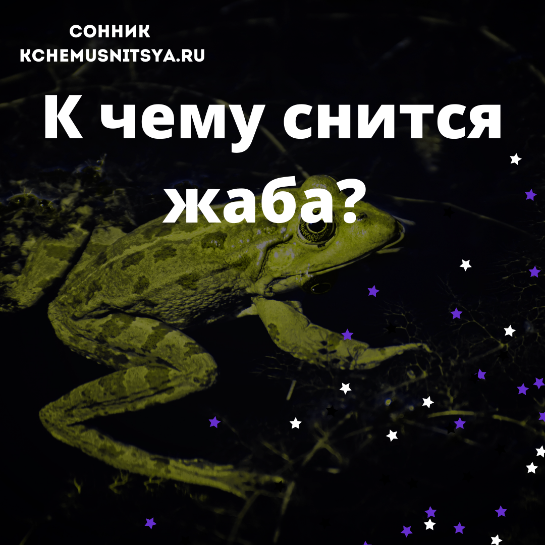 К чему снится лягушка — сонник: лягушка во сне | sauna-chelyabinsk.ru