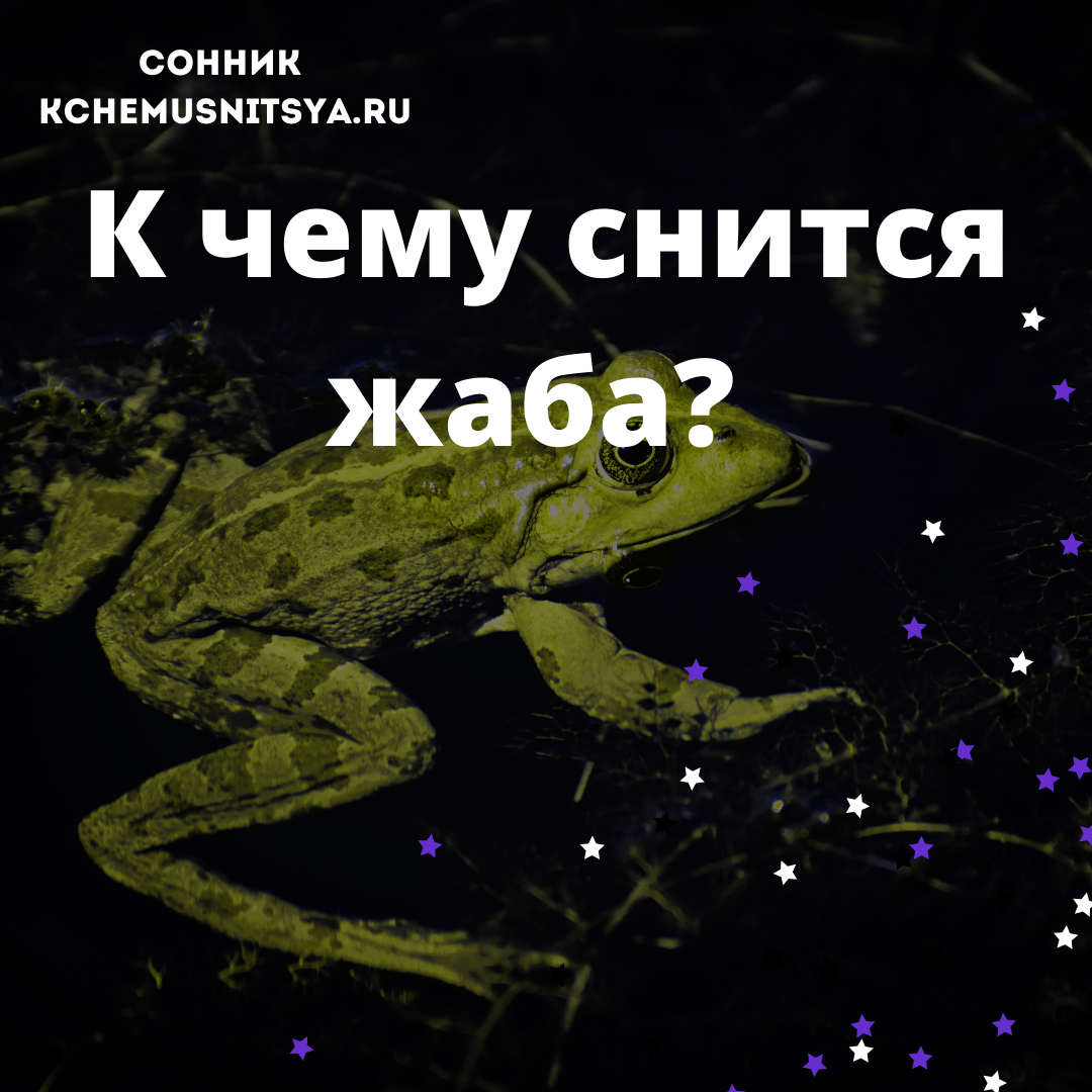 Жаба к чему снится? Сонник. Толкование снов | Сонник 