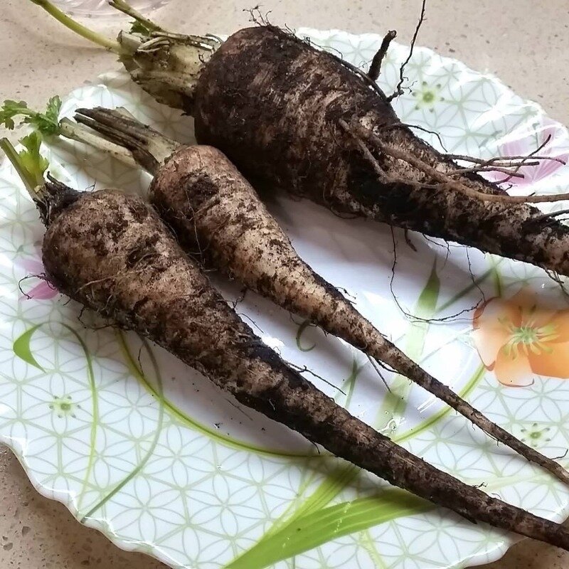 Фото https://www.instagram.com/p/BnhIpt5juRy/