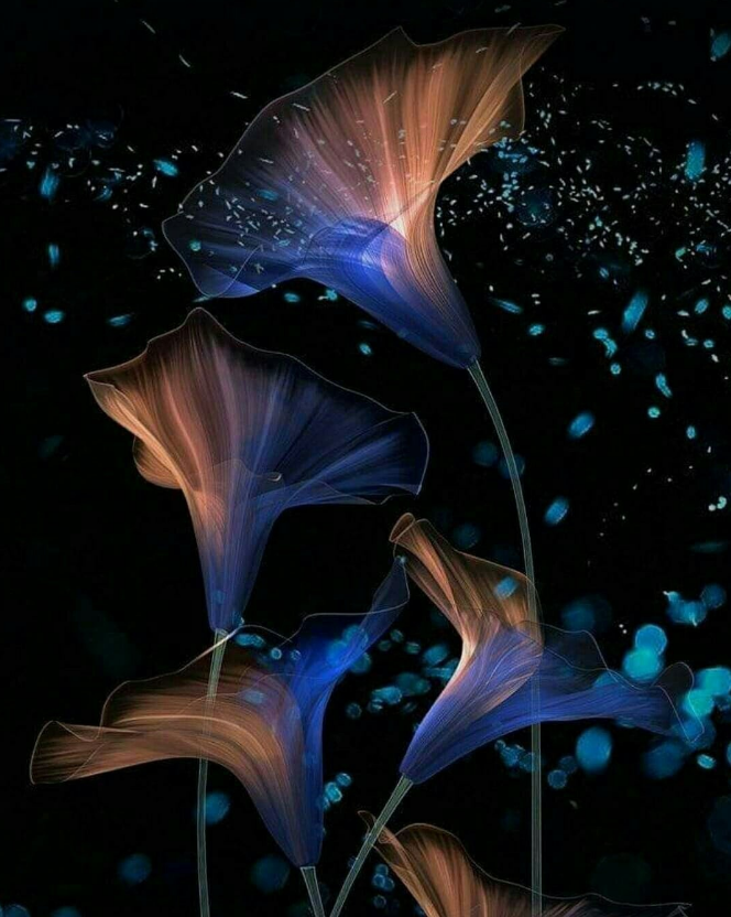 фото из открытых источников интернета