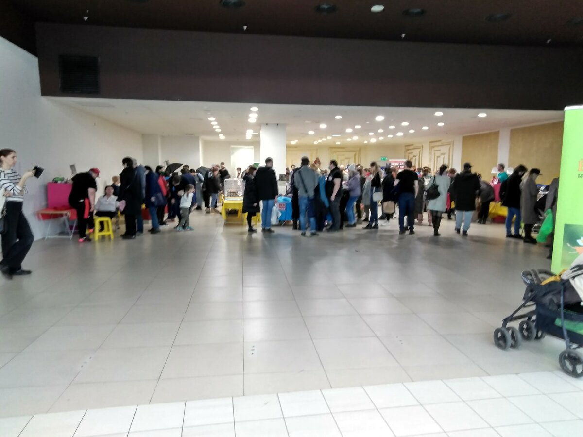 Когда я подходил, было как-то так) Личное фото автора