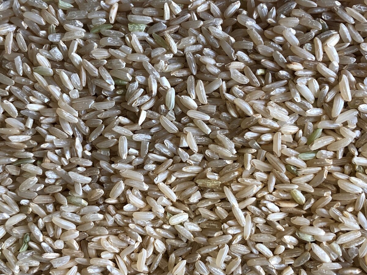 Из интернет https://vkusnobus.ru/wp-content/uploads/1/c/9/1c98c08f24765e50973ce1e98793433c.jpg