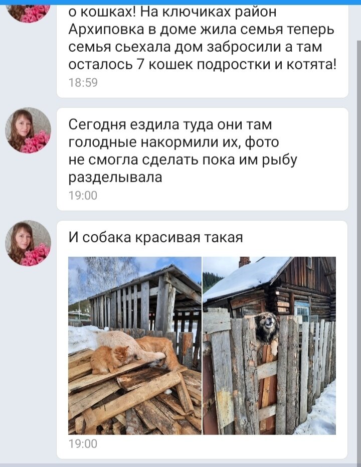 Скриншот из нашей группы ВК. 