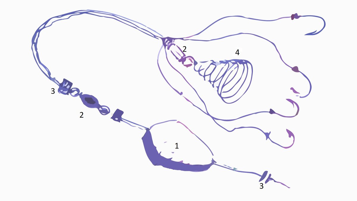 1- груз; 2 - вертлюг; 3- стопор; 4 - соска
