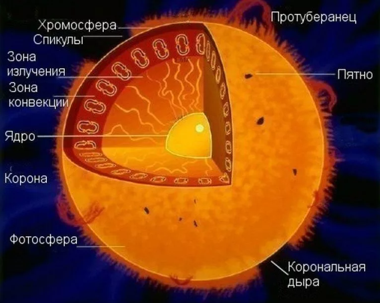 Самое стабильное ядро. Внутренне строение солнца ядро. Внутреннее строение солнца схема. Внутреннее строение солнца слои. Строение солнца внутреннее и внешнее.