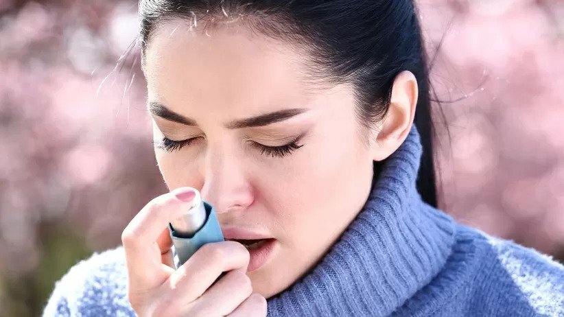 Фото из Shutterstock