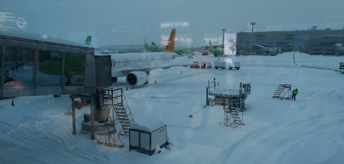 Наш самолёт. Смотрите сколько снега.