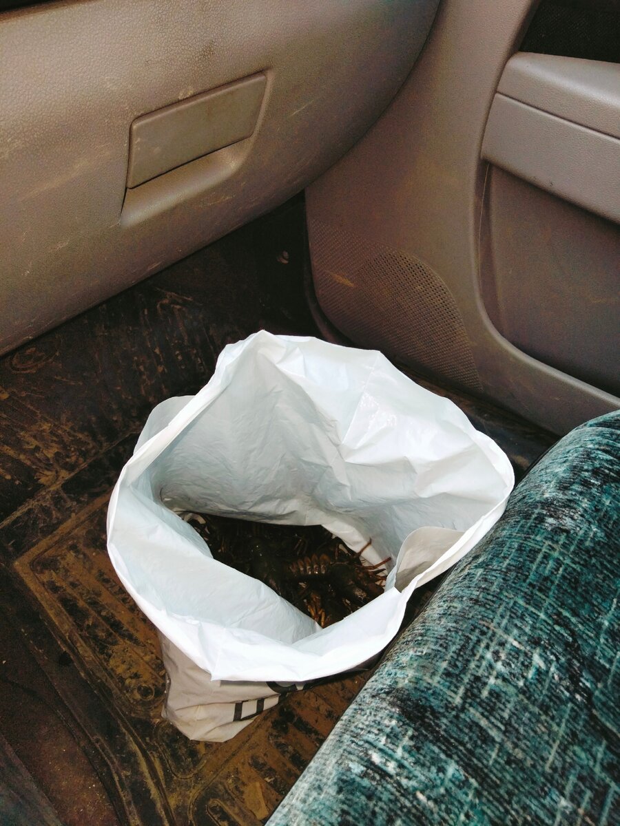 Моё фото, так выглядела посылка :)))