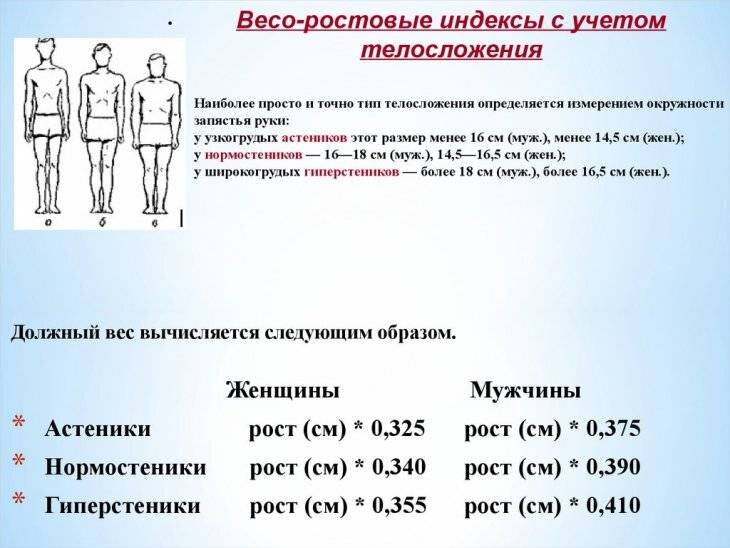 Вес костей