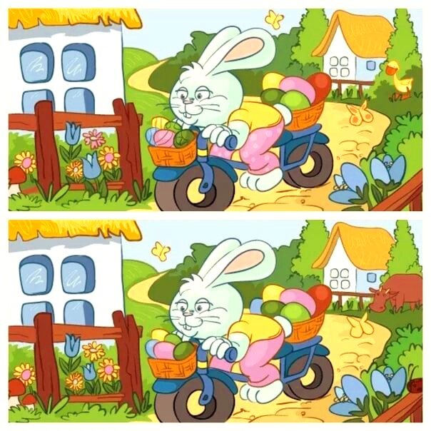 Картинка из открытого доступа в интернете 