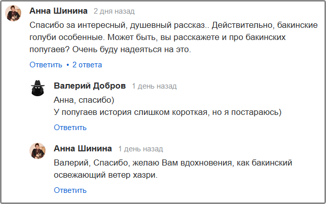 https://pulse.mail.ru/article/nacionalnoe-dostoyanie-azerbajdzhana-bakinskij-bojnyj-golub-4380216029150453936-6834844530036248254/
