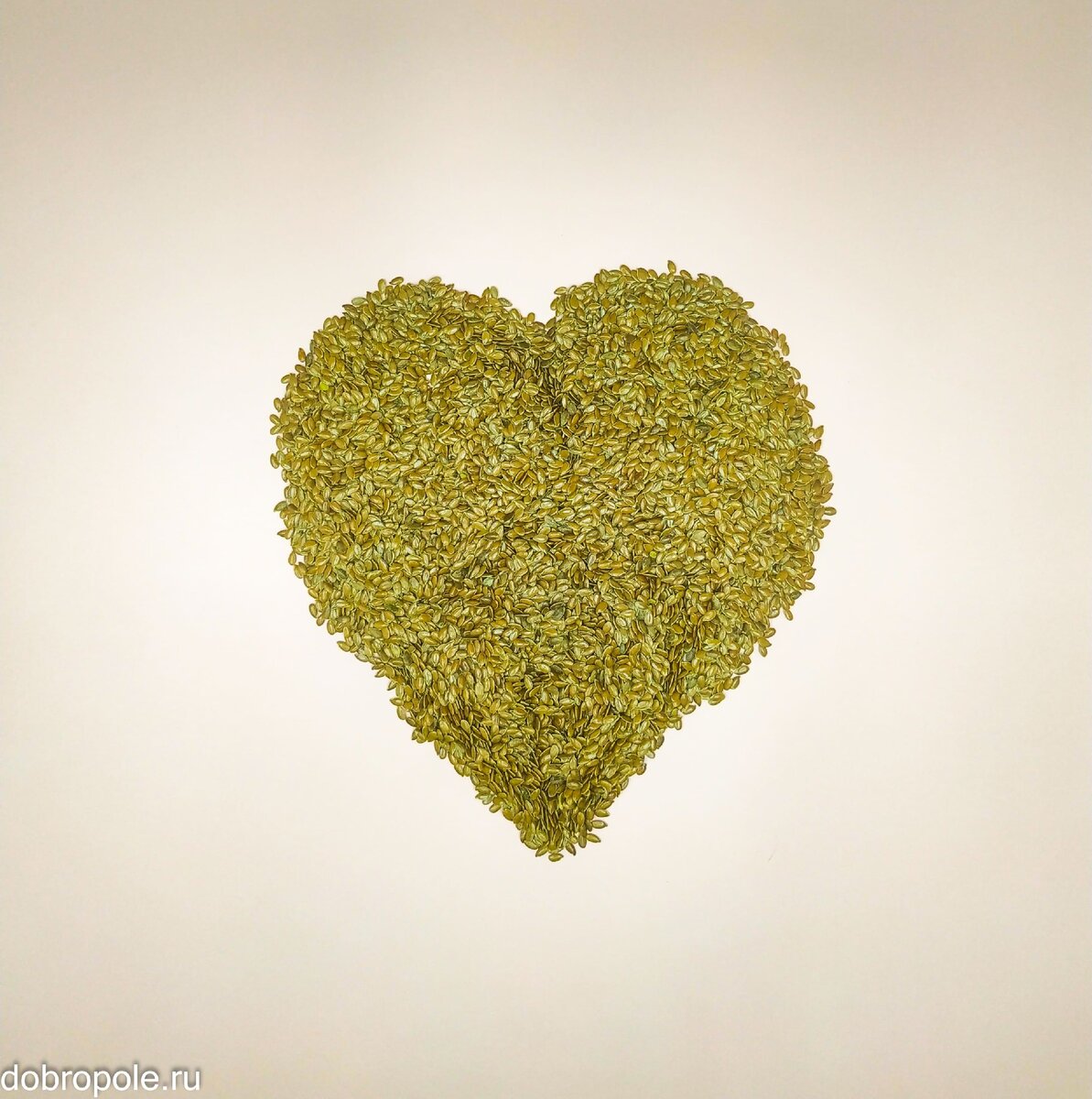 польза льняного семени неоспорима