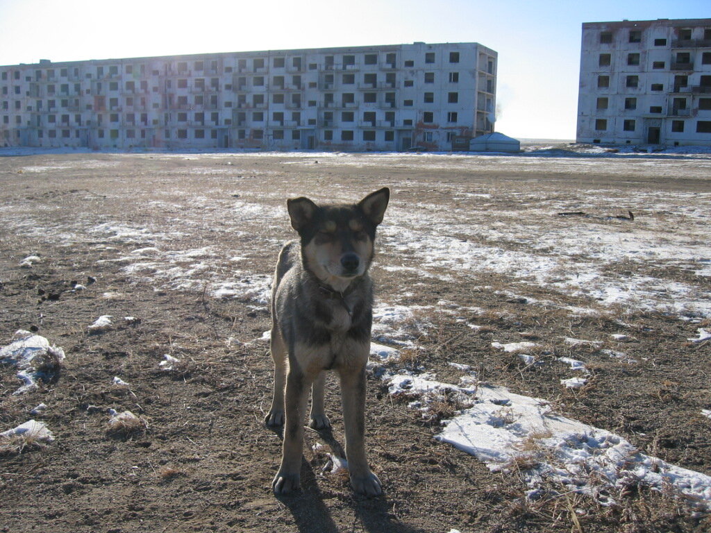 Остатки военного городка Баганур, Монголия.