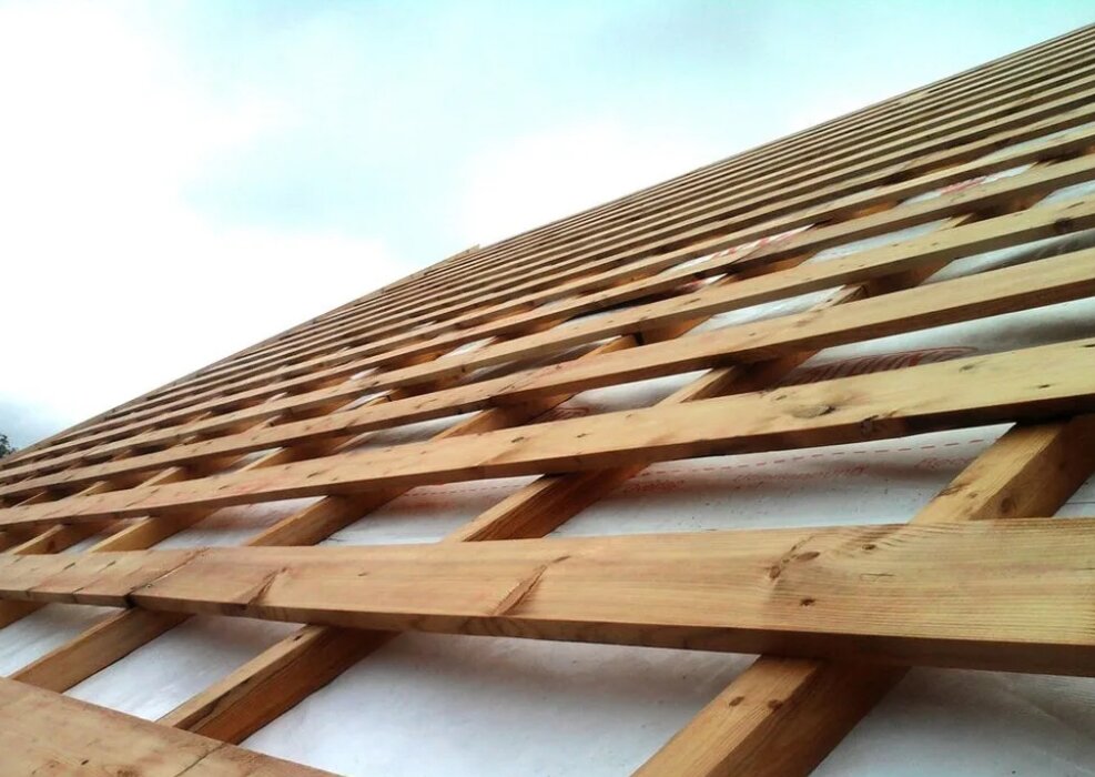 Фото: Яндекс Картинки