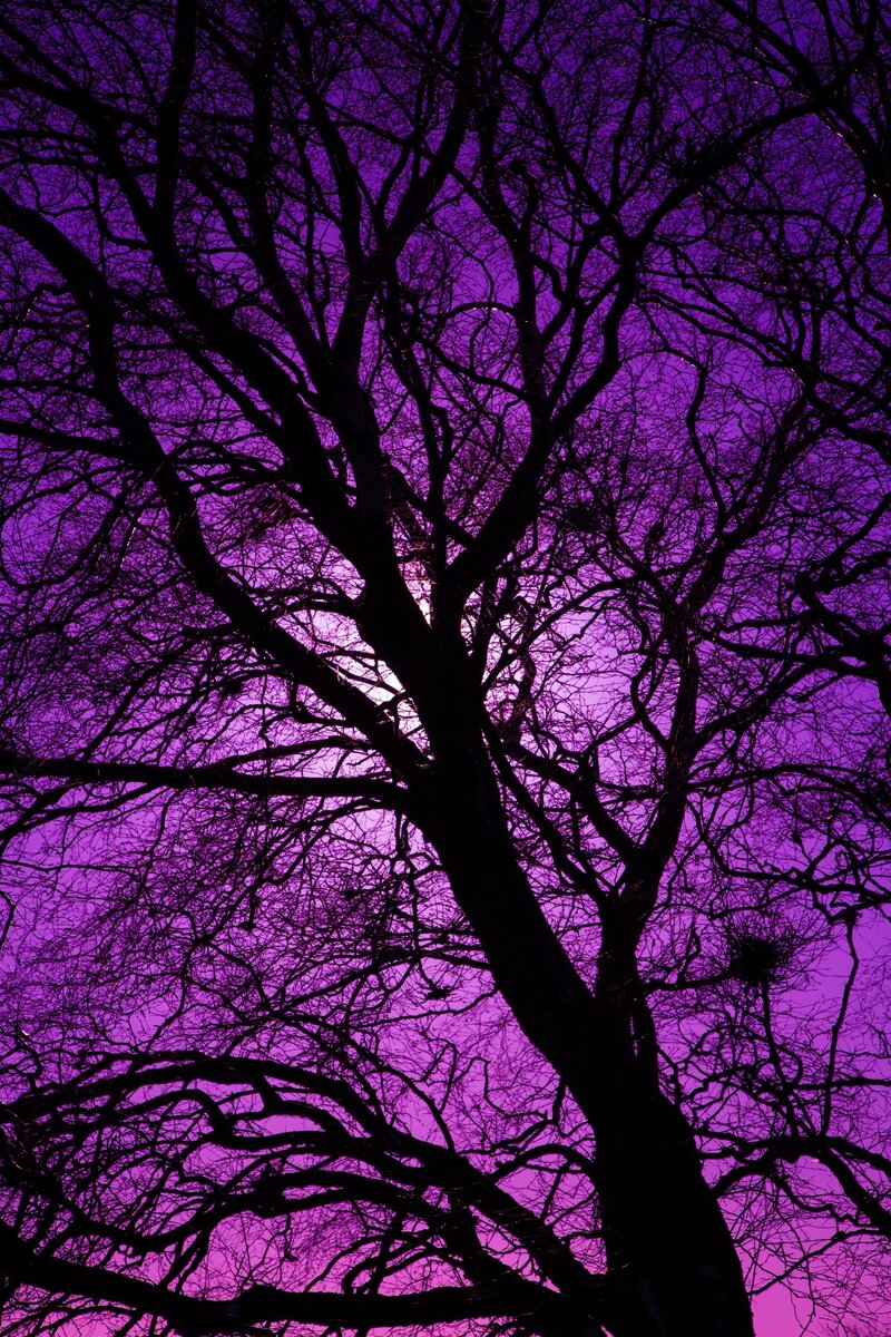 Картинка из интернета