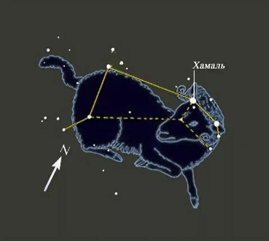 Хамаль птичка. Созвездие Овен Хамаль. Звезда Хамаль в созвездии овна. Зодиакальное Созвездие овна Гамаль. Хамаль – Альфа овна.