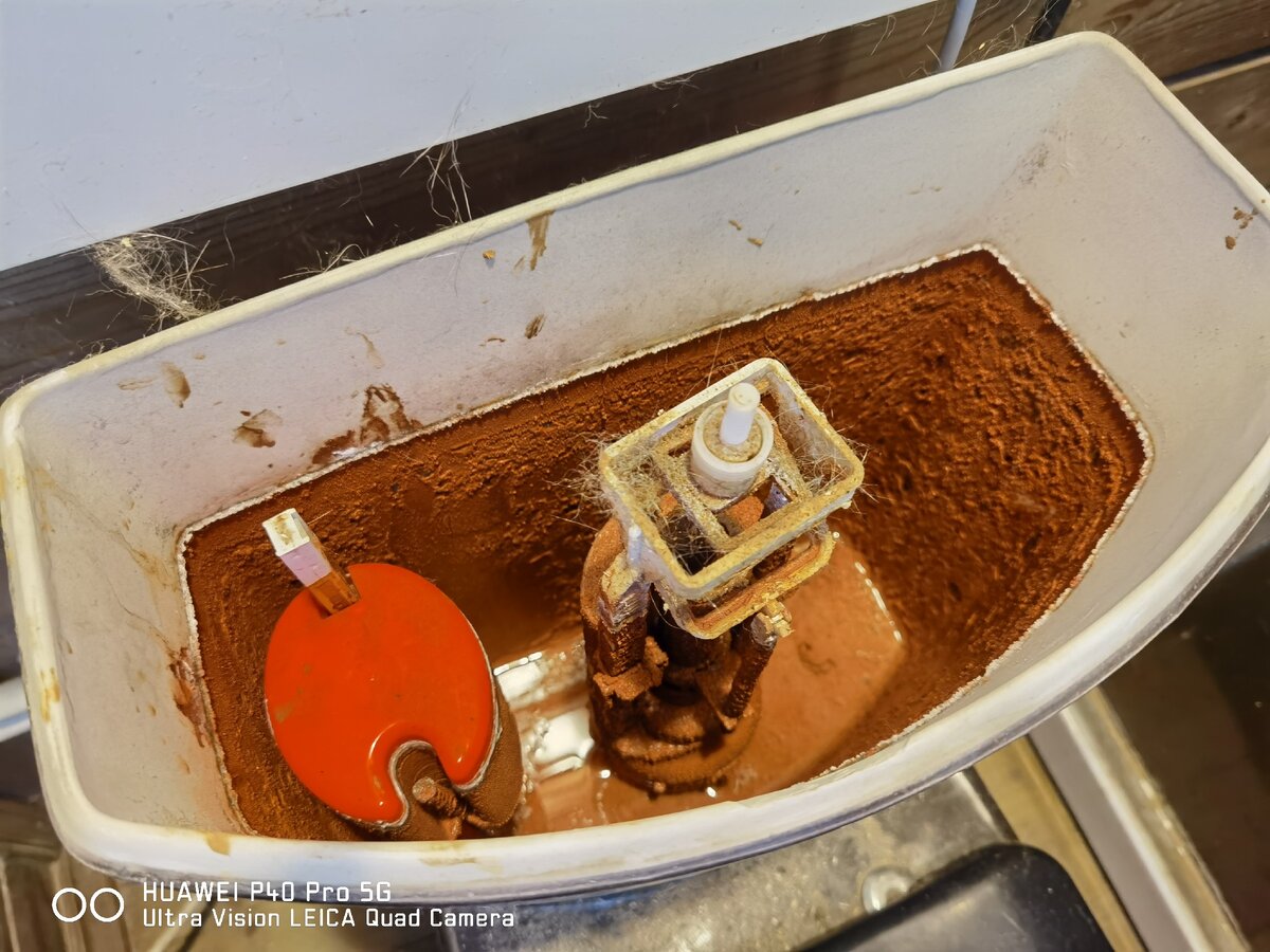 Хоть мой, хоть не мой, грубый фильтр на входе в дом есть.  Рыжие не только унитаз, но и раковина и душевая кабина.