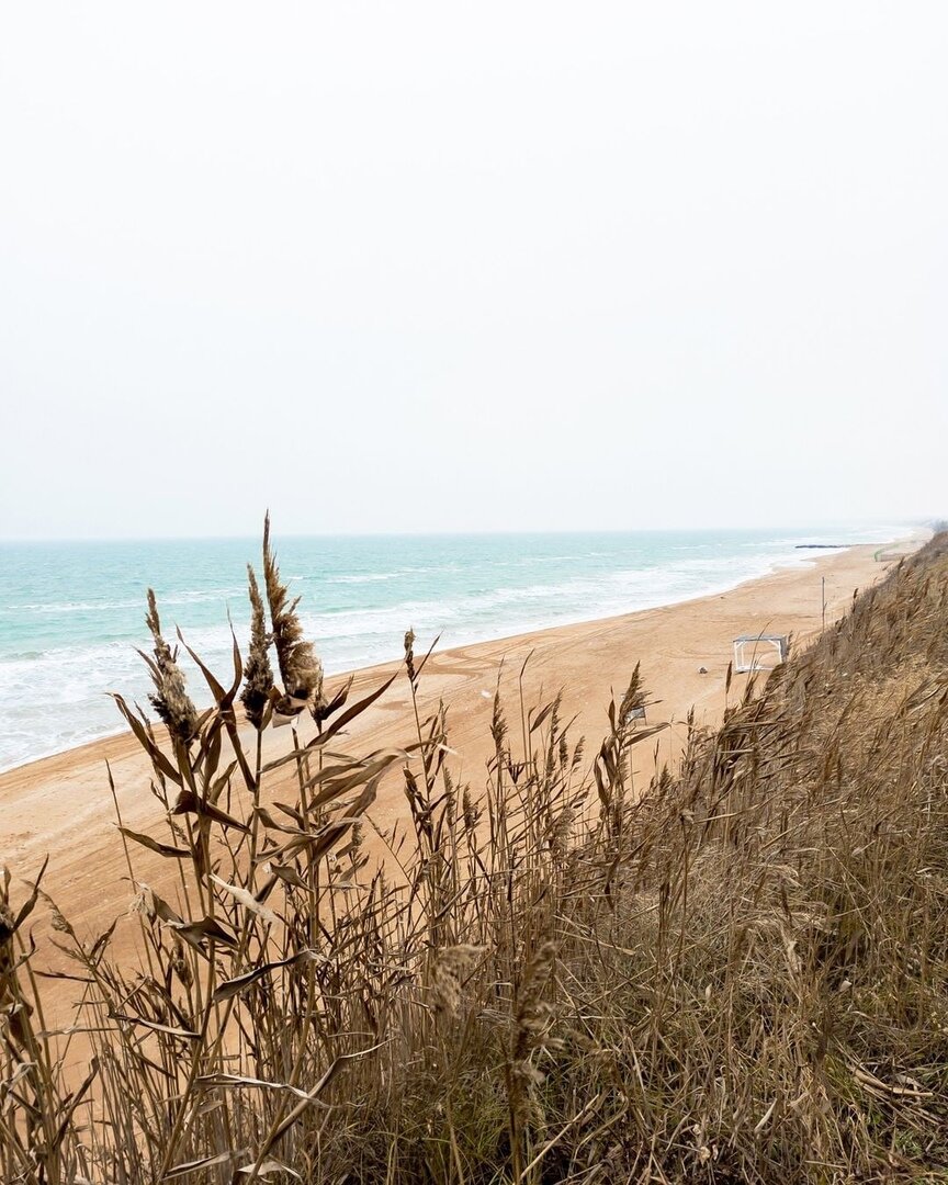 Кучугуры этой зимой