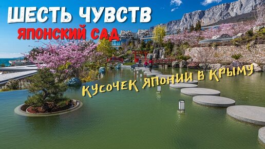 Цветение сакуры на Южном Берегу Крыма. Японский сад в самом крутом отеле Европы. Какой он на самом деле?