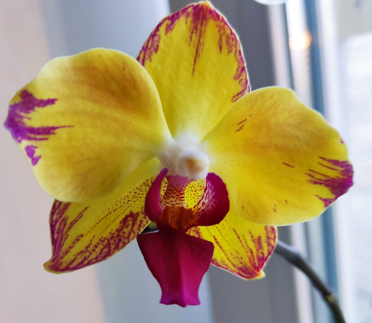 Сентябрь 2021