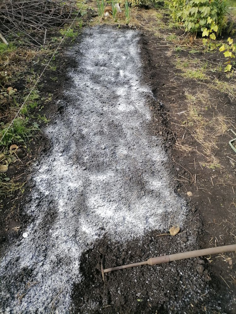 Вношу доломитовую муку, фото автора