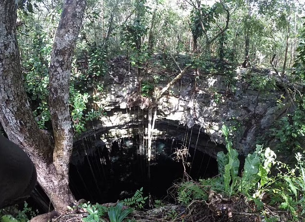 Источник: Национальный институт антропологии и истории 