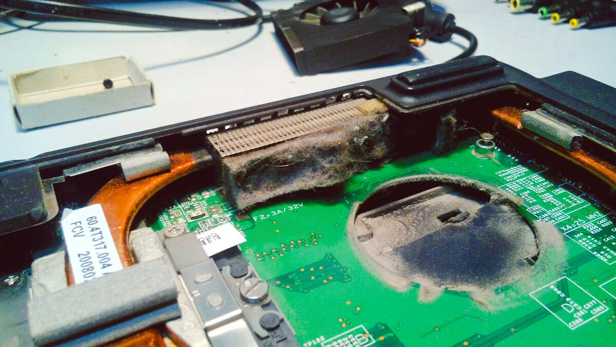 Проверьте, не поселилась ли у вас пылюка!