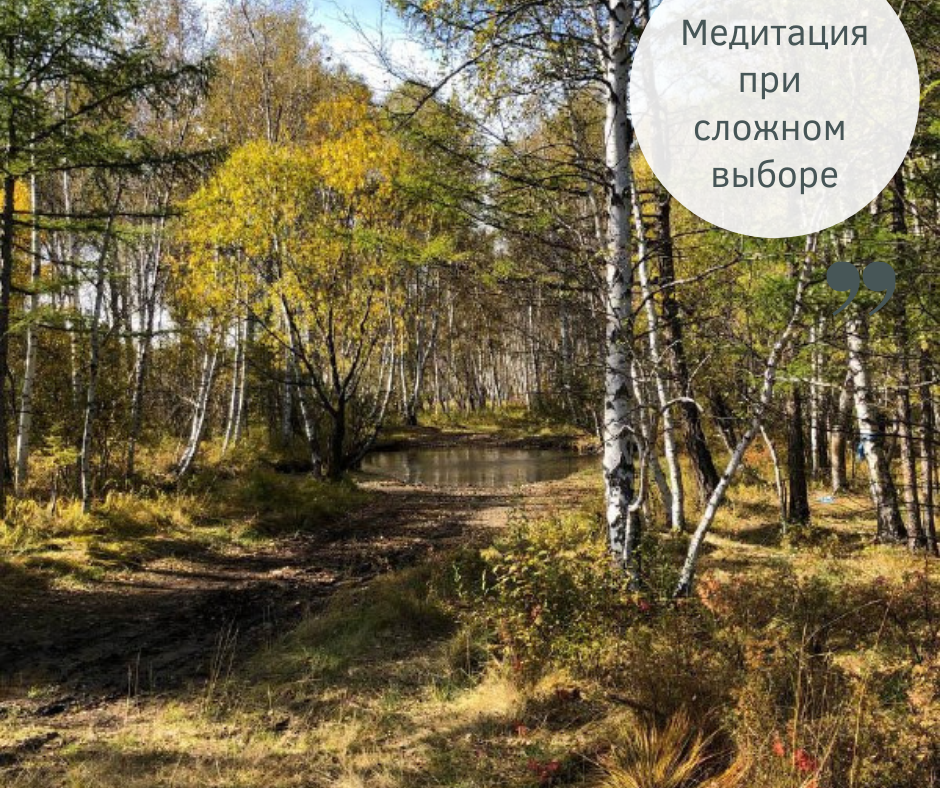 Тропа жизни порой терниста