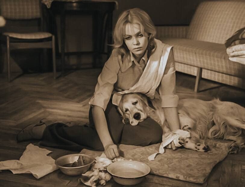 Кадр из фильма «Белый Бим Чёрное ухо», 1977