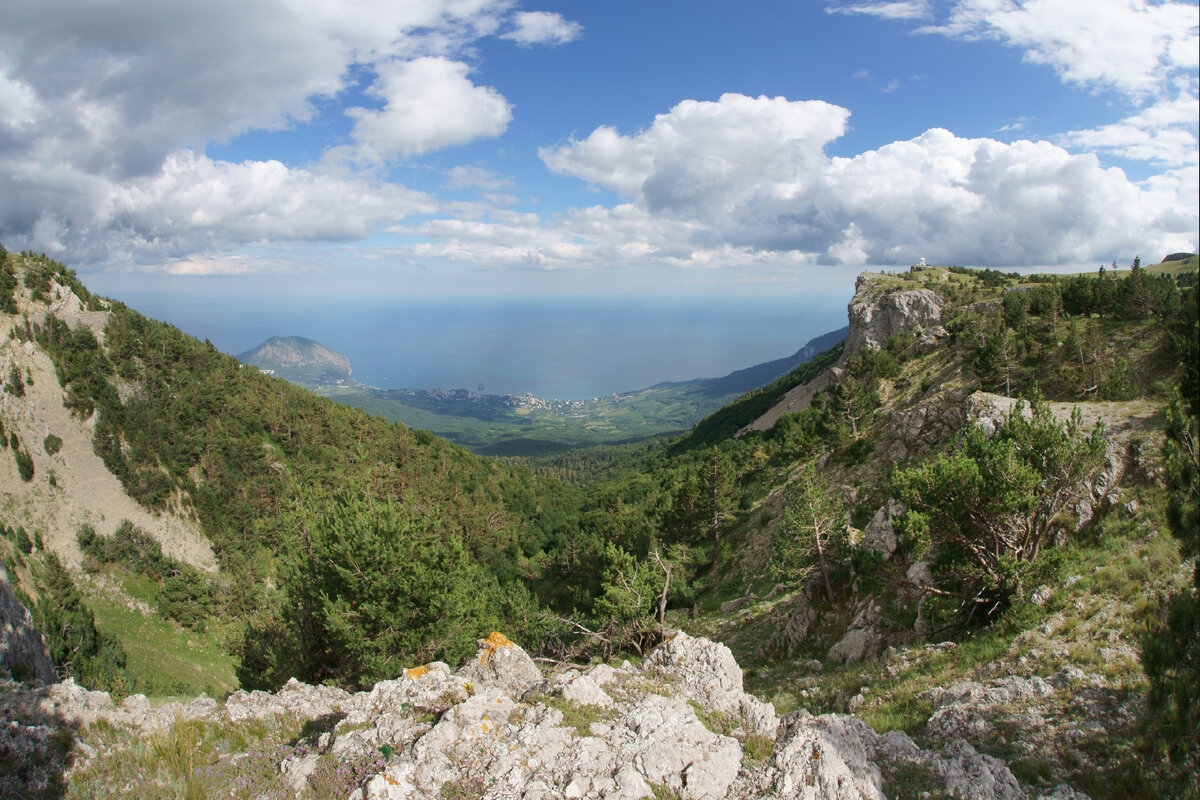 Алуштинский Крымский заповедник