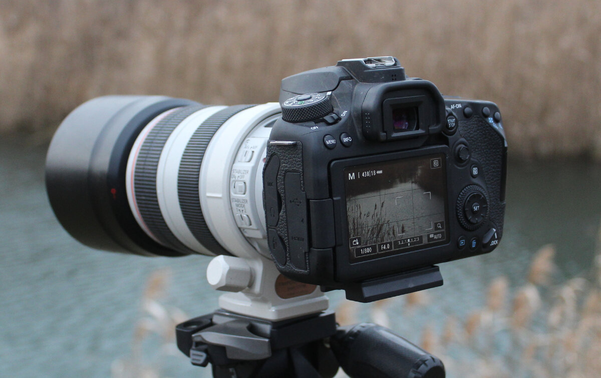 Камера Canon EOS-90D + объектив Canon EF 70-300mm F4.0-5.6 L IS USM (сзади)