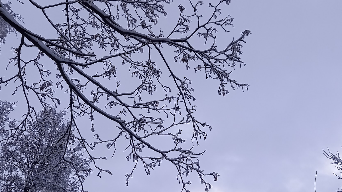 Снежная красота.