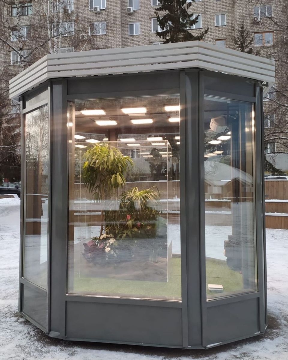 Флорариум на площади Мира в Красноярске